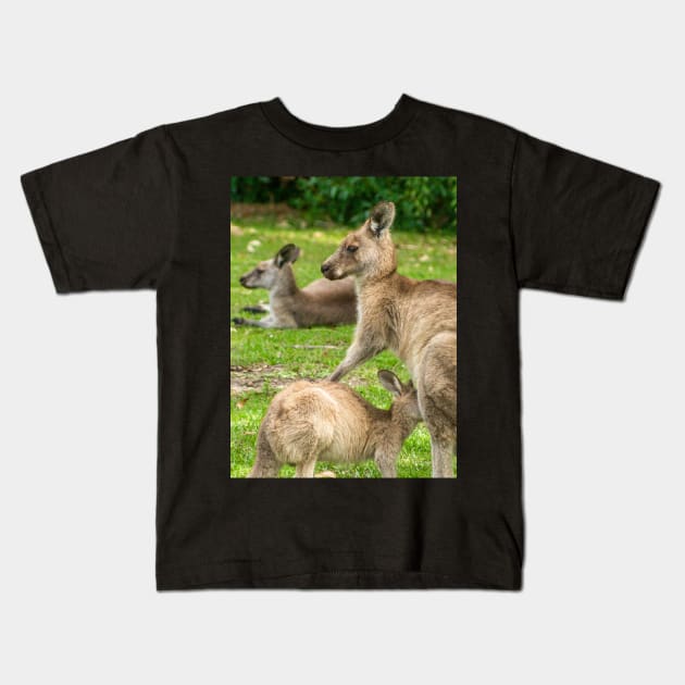 Mother Eastern Grey Kangaroo feeding Joey Kids T-Shirt by Upbeat Traveler